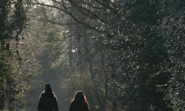 Discipleship in Purity